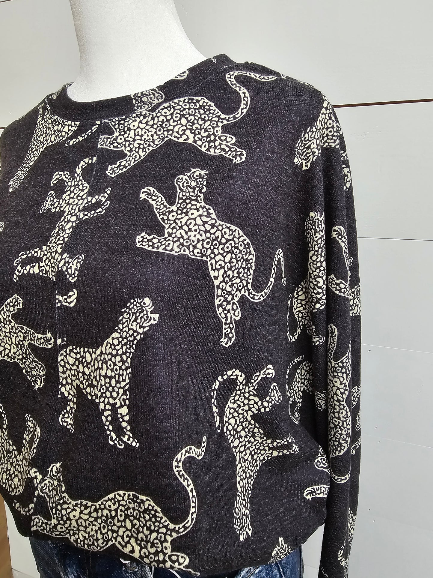 Cheetah Long Sleeve Top