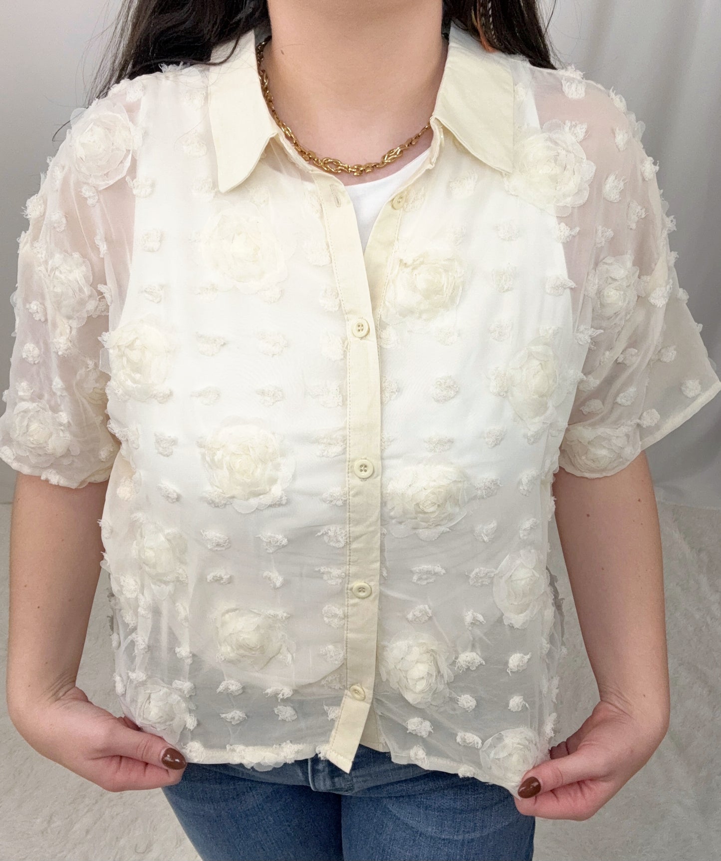 Chiffon Cream Blouse